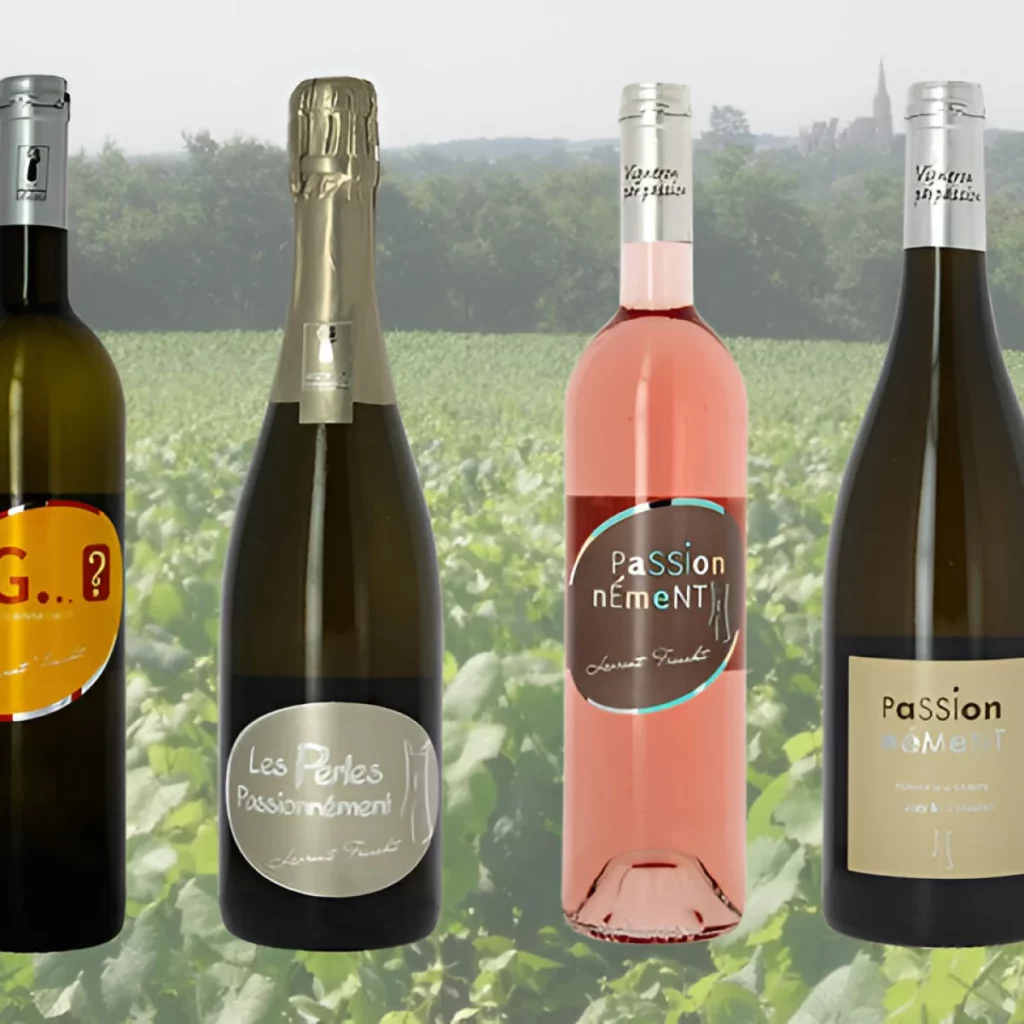 Domaine De La Tourette Viticulteur Maisdon Sur Sevre Coffret 4 Bouteilles